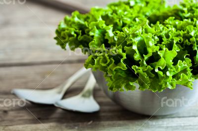 lettuce salad in metal bowl and spoons 