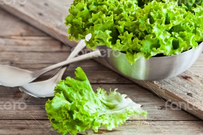 lettuce salad in metal bowl and spoons lettuce salad in metal bowl and spoons