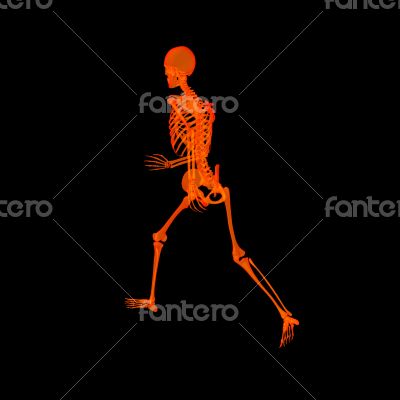 walking fire skeleton by X-rays in red 