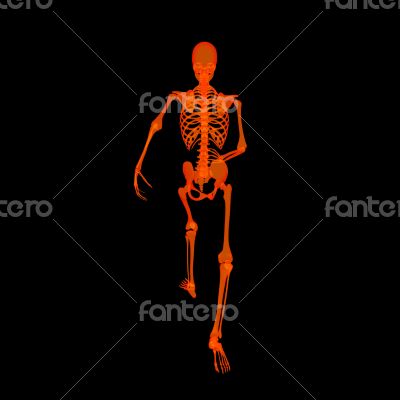 walking fire skeleton by X-rays in red 