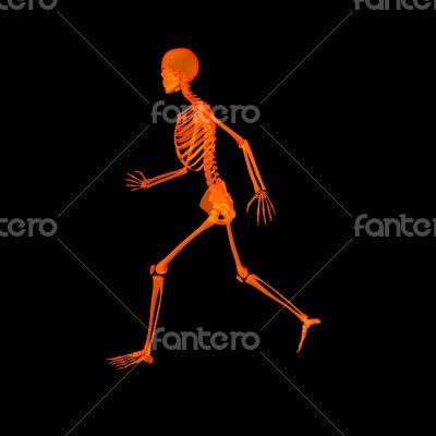 walking fire skeleton by X-rays in red 
