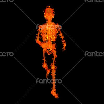 walking fire skeleton by X-rays in red 