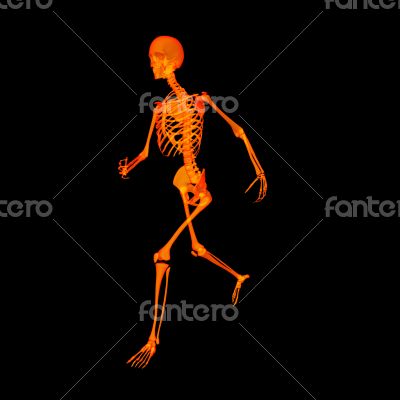 walking fire skeleton by X-rays in red 