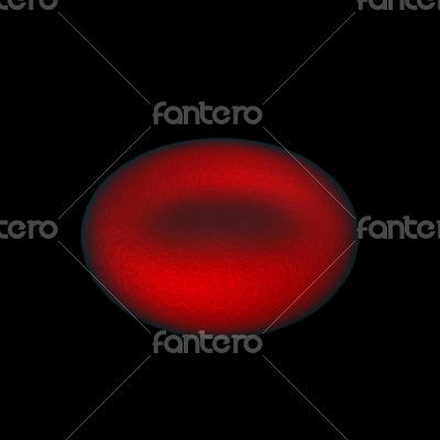 illustration of red blood cells 