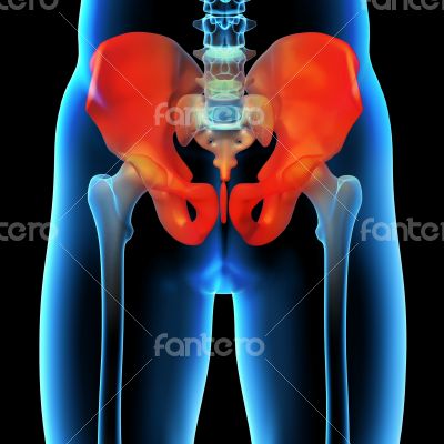 3d rendered illustration of a painful sacrum