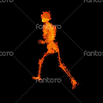 walking  skeleton by X-rays in red