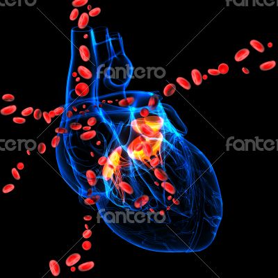 3d render Heart valve with blood cells