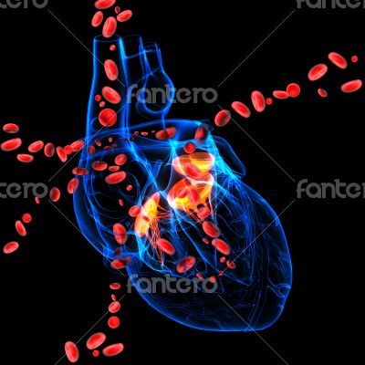 3d render Heart valve with blood cells