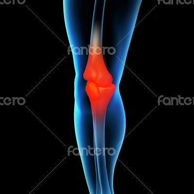 Human knee pain with the anatomy of a skeleton leg