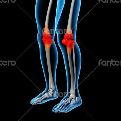 Human knee pain with the anatomy of a skeleton leg Human knee pain with the anatomy of a skeleton leg