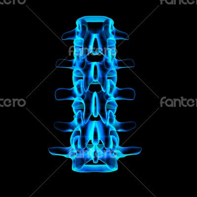 3d rendered illustration-lumbar back view