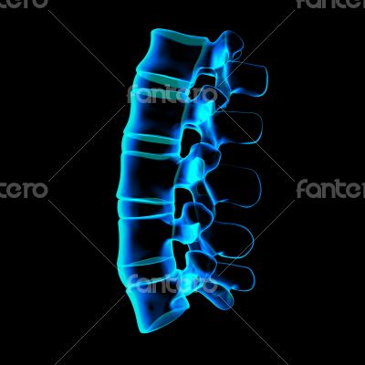 3d rendered illustration-lumbar side view 3d rendered illustration-lumbar side view