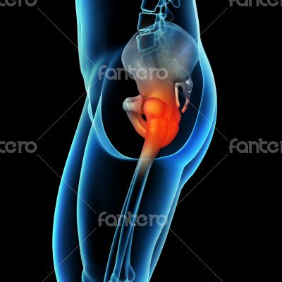 painful hip joint