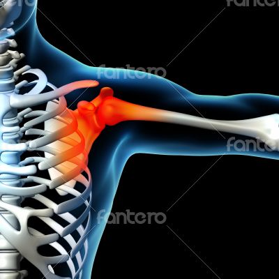 Human shoulder pain with skeleton shoulder 
