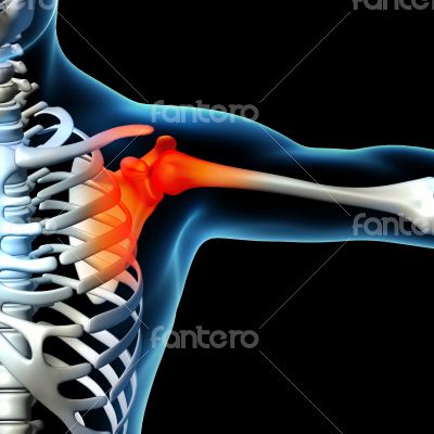 Human shoulder pain with skeleton shoulder 