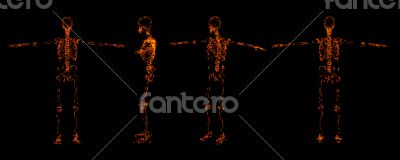 Fire skeleton on dark background