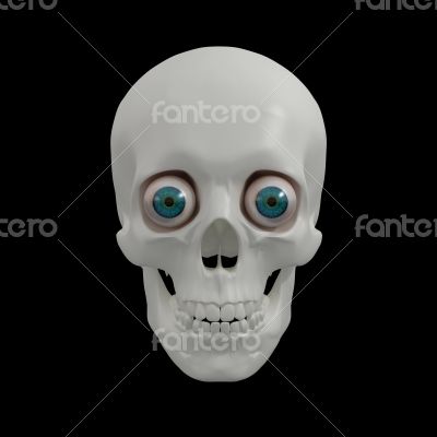 3d render human Skull
