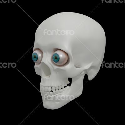 3d render human Skull