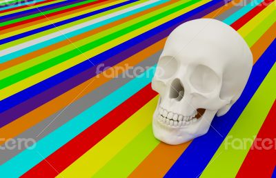 3d skull