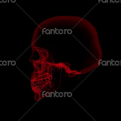 human x ray skull on black background