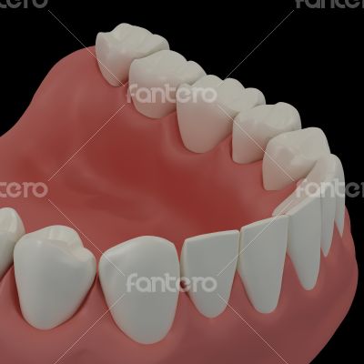 3D teeth on black background