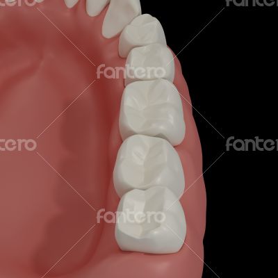 3D teeth on black background