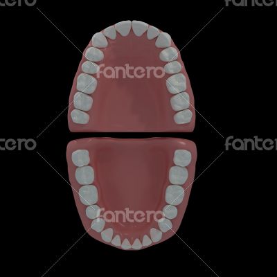 3D teeth on black background