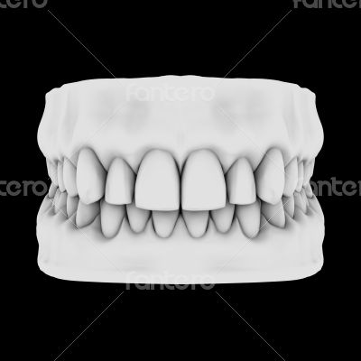 White teeth isolated on black background