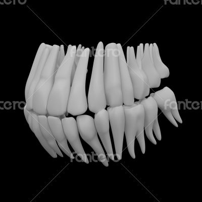 3d human red teeth