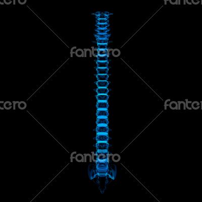 3d rendered illustration - human spine