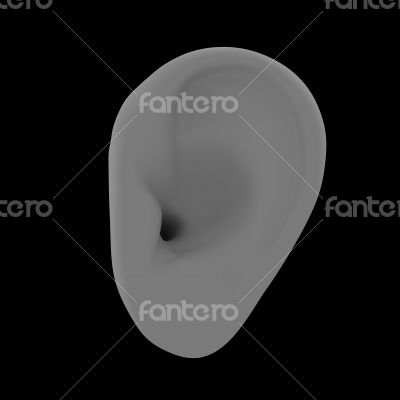 3d rendered illustration of the ear