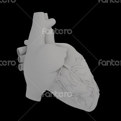 3d render illustration of The Human Heart