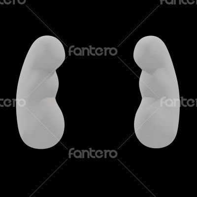 Kidney isolated on black background