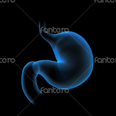 3d rendered illustration of the stomach