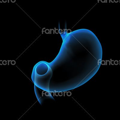 3d rendered illustration of the stomach