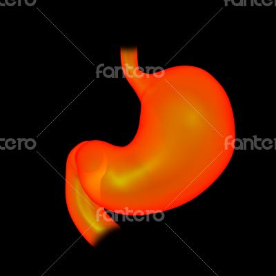 3d rendered illustration of the stomach