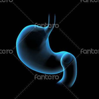 3d rendered illustration of the stomach