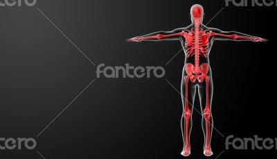3d rendered red skeleton 