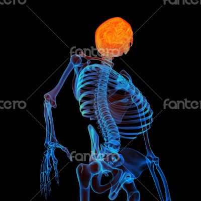 3d rendered human of head pain - bottom view