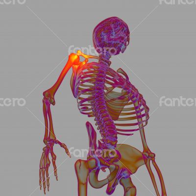 3d rendered human of sholderd pain 