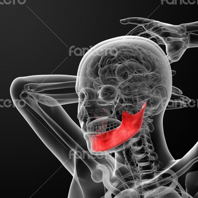 jaw bone jaw bone