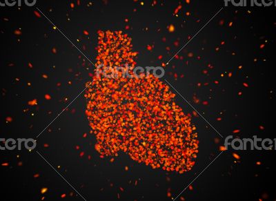 medical illustration of the heart