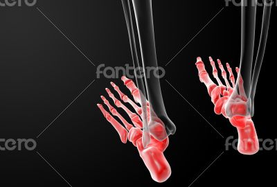 3d render human foot x-ray