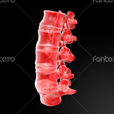 lumbar lumbar