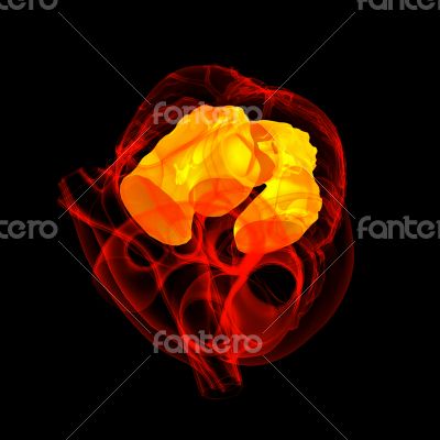 3d render Heart atrium 