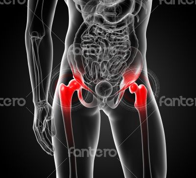 painful hip joint
