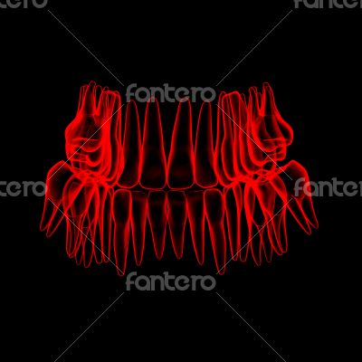 3d human red teeth - back view