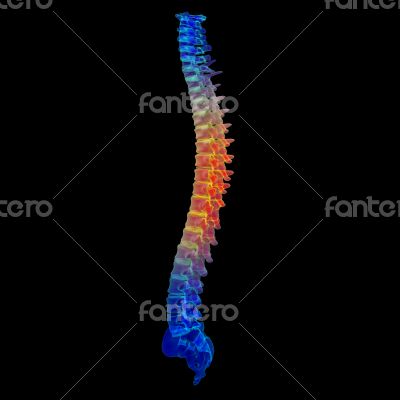 3d render painful spine