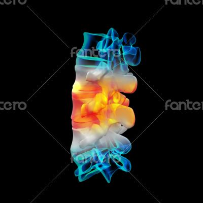 Human with the backbone Human with the backbone