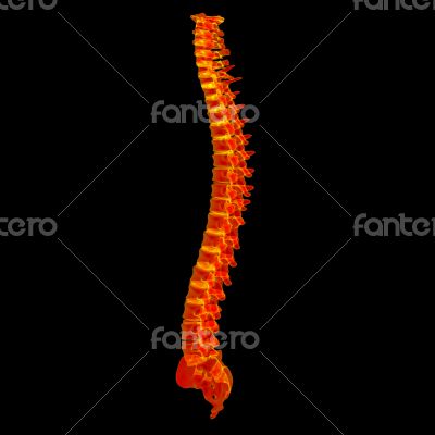 3d render painful spine